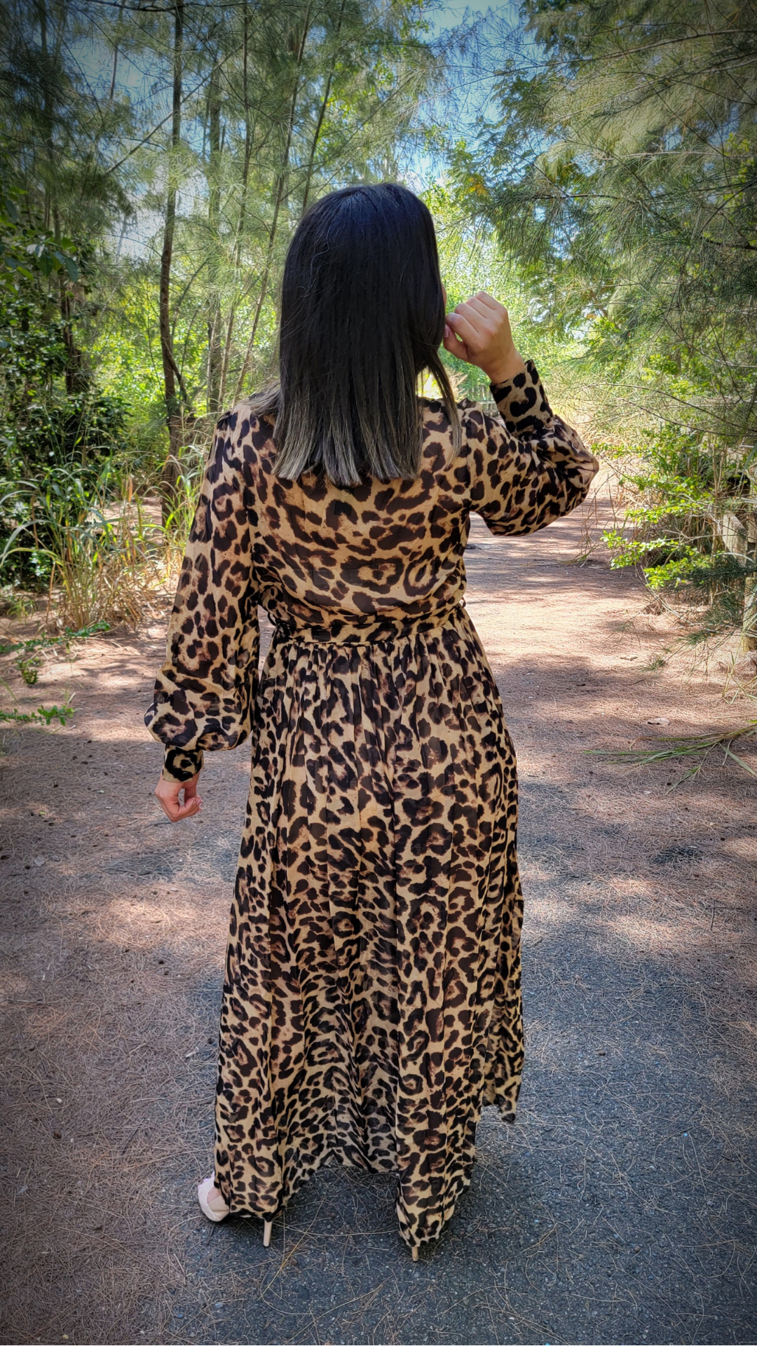 Long Sleeve Animal Print Maxi Dress