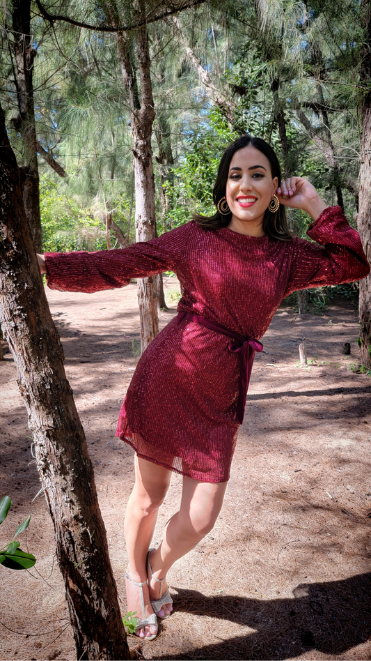 Burgundy Sequin Mini Dress